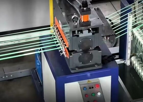 Энергоэффективная устойчивая линия производства ремешков для домашних животных