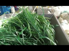 Одноствольная дробилка мягкого материала